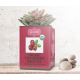 ORGANIC CRANBERRY GREEN TEA - w saszetkach 50 x 1,5 g