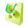 Torebka prezentowa K0 - zielone kwiaty