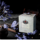 EXECUTIVE COLLECTION - White Tea Leaf Tea Silver Tips - 200 g