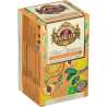 MIX FRUIT LEMONADE saszetki kopertowane - 20 x 2 g