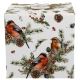 Pojemnik na ciastka CHRISTMAS BIRDS - 700 ml