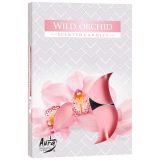 Podgrzewacz zapachowy - dzika orchidea 6szt