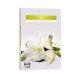 Podgrzewacz zapachowy - lilia 6szt