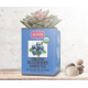 ORGANIC BLUEBERRY GREEN TEA - w saszetkach 50 x 1,5 g