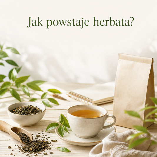 Jak powstaje herbata: od liścia do filiżanki krok po kroku