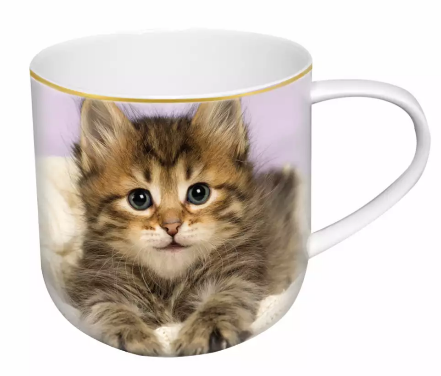 Kubek porcelanowy 500 ml z realistycznym nadrukiem kociaka – widok z przodu.