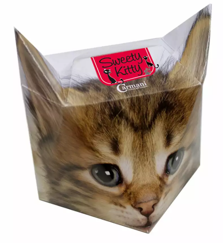 Ozdobne pudełko z motywem kota z kolekcji Sweety Kitty, w którym zapakowany jest kubek porcelanowy.