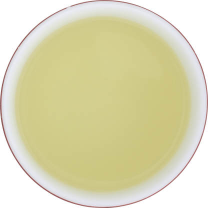 Zielony napar herbaty Basilur Radella Green o delikatnym, złotym kolorze.