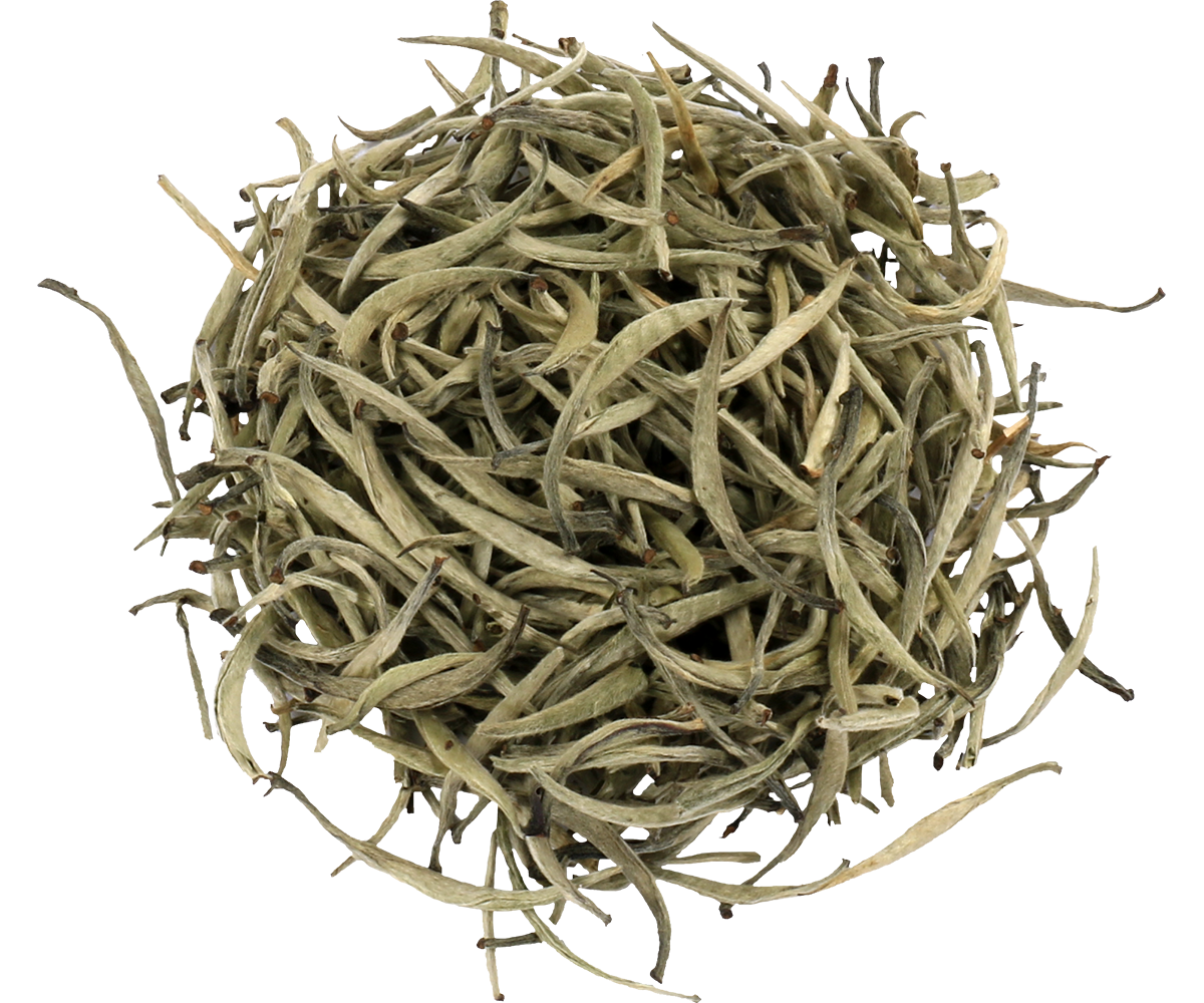 Sucha biała herbata Basilur Silver Tips – delikatne listki najwyższej jakości.