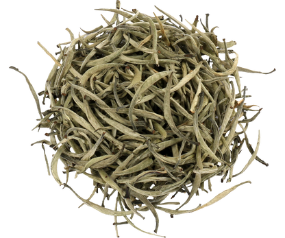 Sucha biała herbata Basilur Silver Tips – delikatne listki najwyższej jakości.