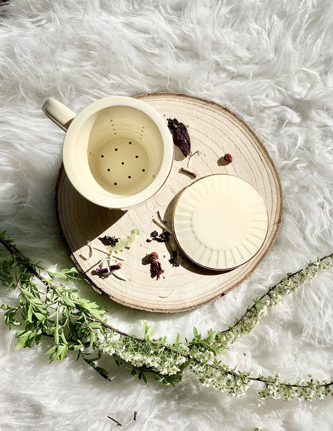 Widok z góry na kubek porcelanowy Nina 400 ml z zaparzaczem i pokrywką w kremowym kolorze.