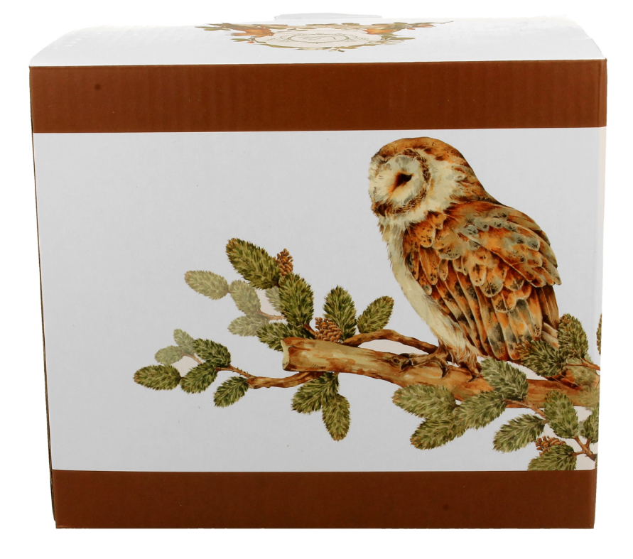 Pudełko ozdobne z motywem sowy, w którym zapakowany jest kubek porcelanowy XXL Sowy.
