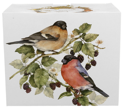 Pudełko kubka XXL Ptasi Świat Gile z ilustracją dwóch gilów.