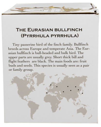 Opis na pudełku kubka XXL Ptasi Świat Gile z mapą i informacją o gatunku ptaków.