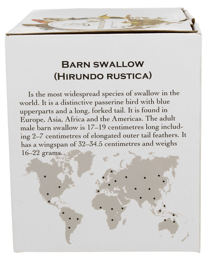 Strona pudełka z opisem gatunku jaskółki dymówki i mapą występowania.