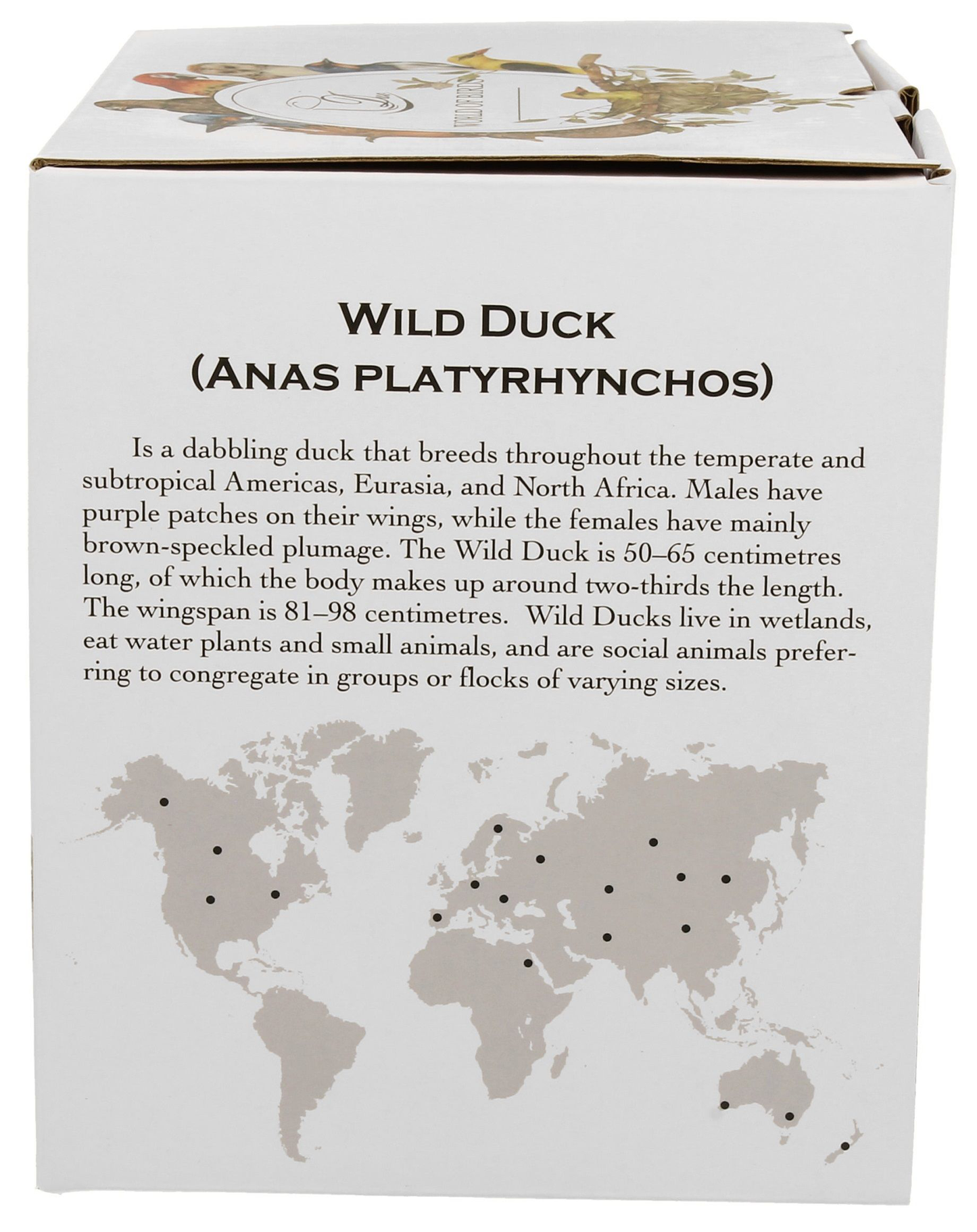 Bok pudełka z opisem dzikich kaczek i mapą występowania.