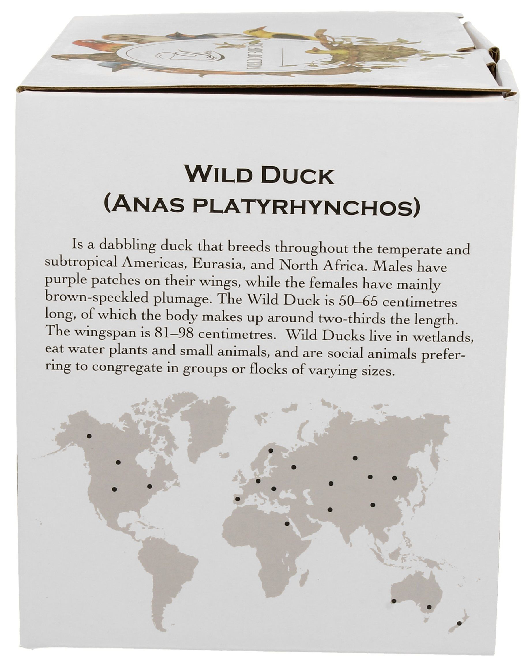 Bok pudełka z opisem dzikich kaczek i mapą występowania.