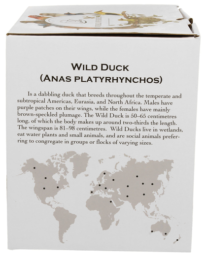Bok pudełka z opisem dzikich kaczek i mapą występowania.