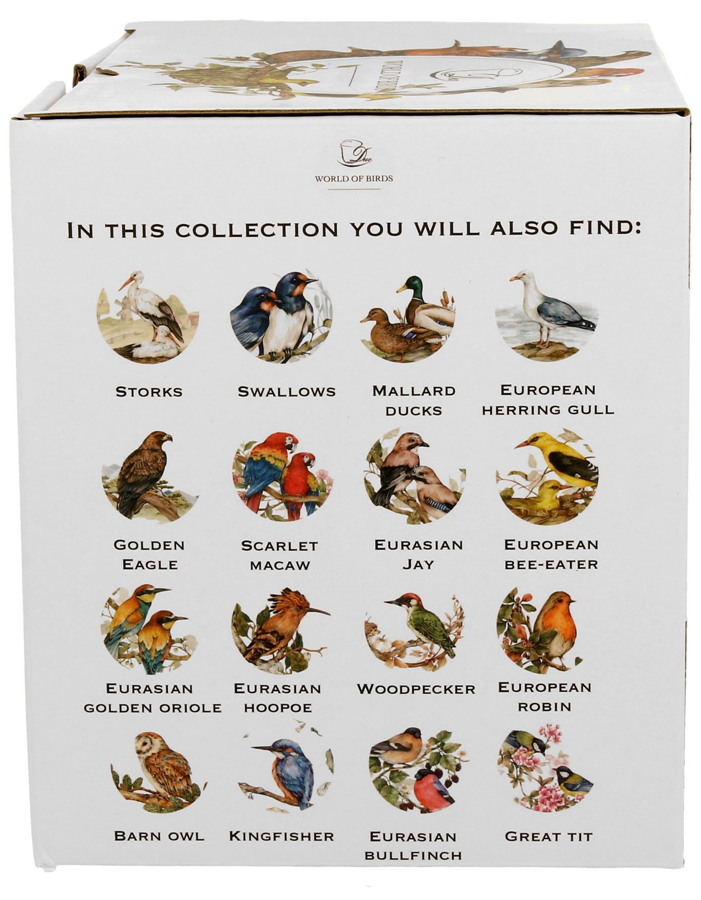Zestaw pudełko kolekcja World of Birds z różnymi ptakami