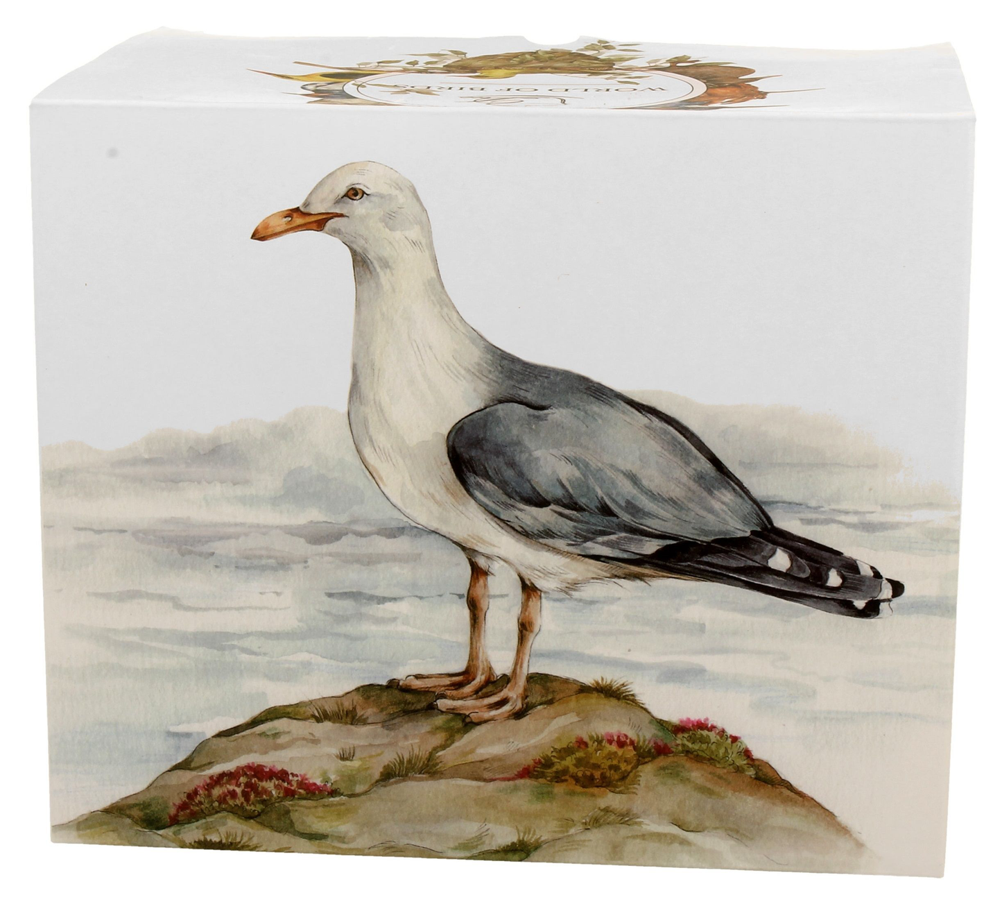 Ilustracja mewy srebrzystej na pudełku