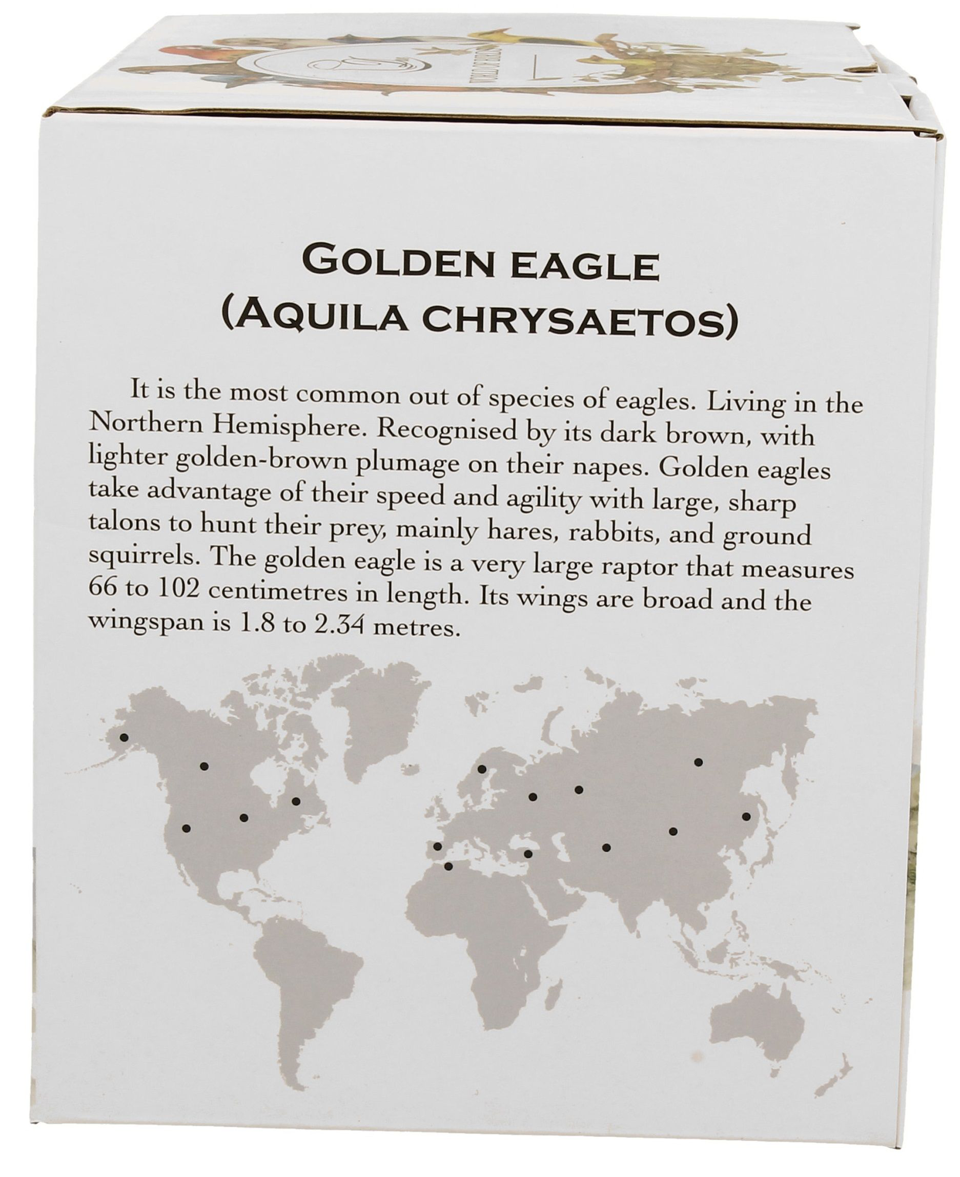 Karton z logo kolekcji World of Birds otoczonym ilustracjami ptaków.