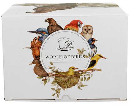 Eleganckie pudełko World of Birds z ilustracjami ptaków.
