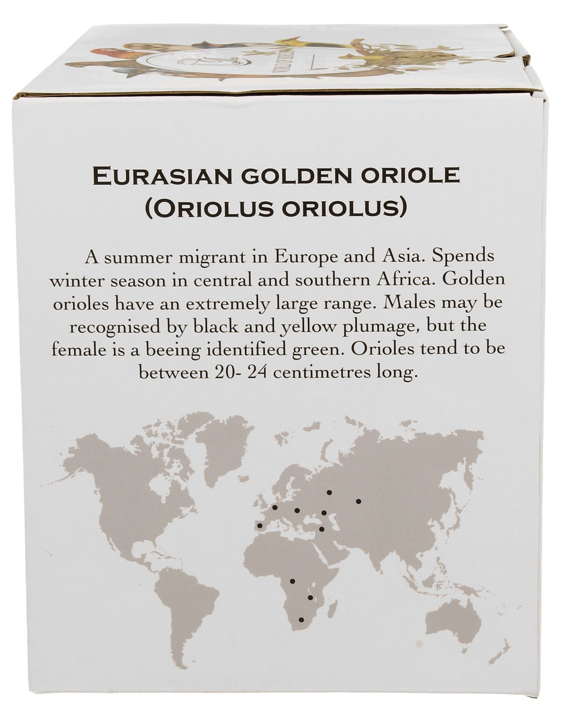 Opis wilgi zwyczajnej na pudełku z mapą zasięgu występowania.