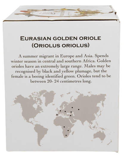 Opis wilgi zwyczajnej na pudełku z mapą zasięgu występowania.