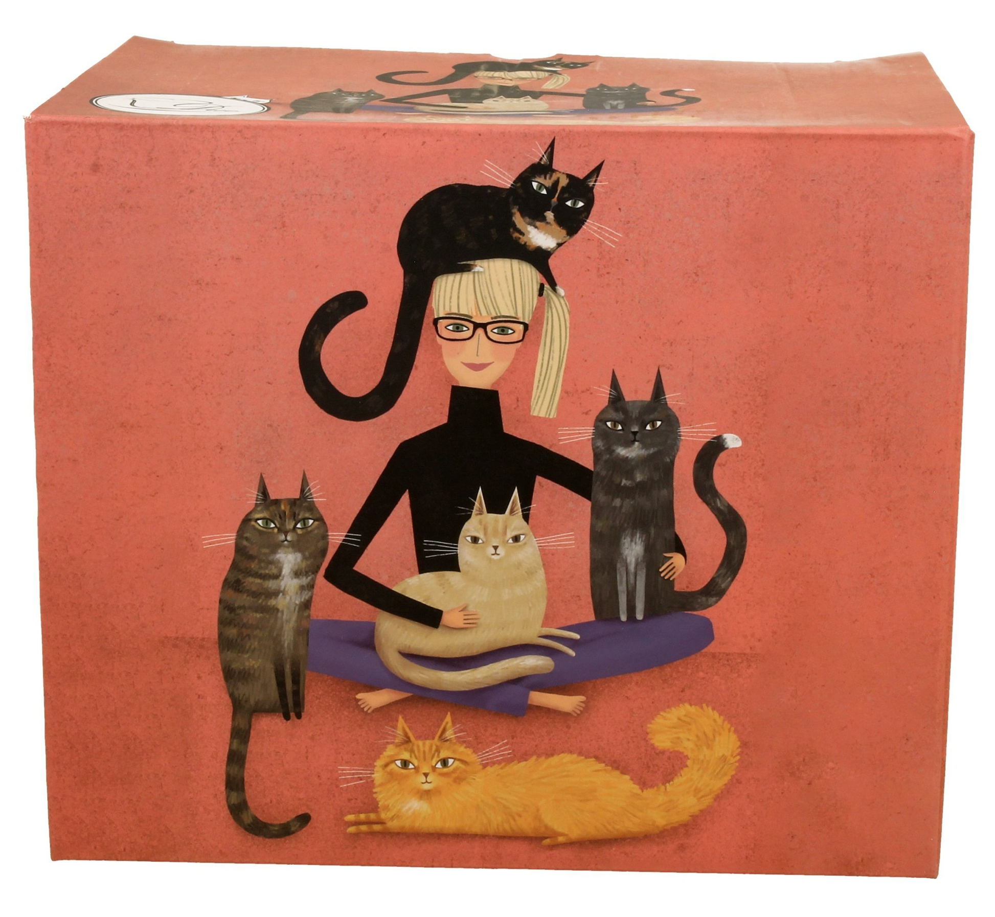 Pudełko z motywem kobiety w okularach otoczonej przez koty na tle pomarańczowego tła.