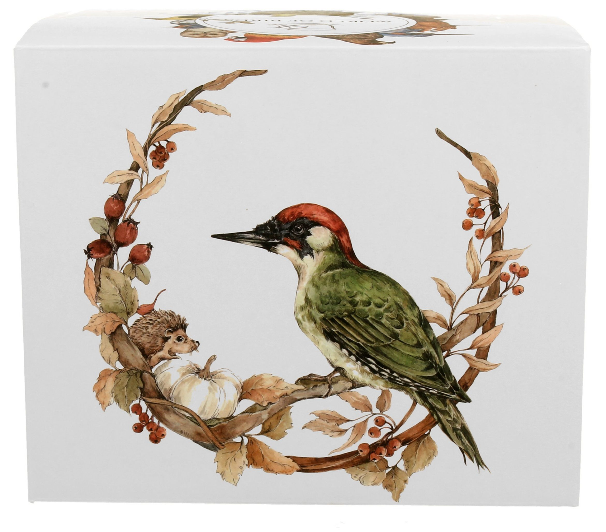 Pudełko ozdobione ilustracją dzięcioła zielonego siedzącego na gałęzi z jesiennymi liśćmi i jeżem u boku.