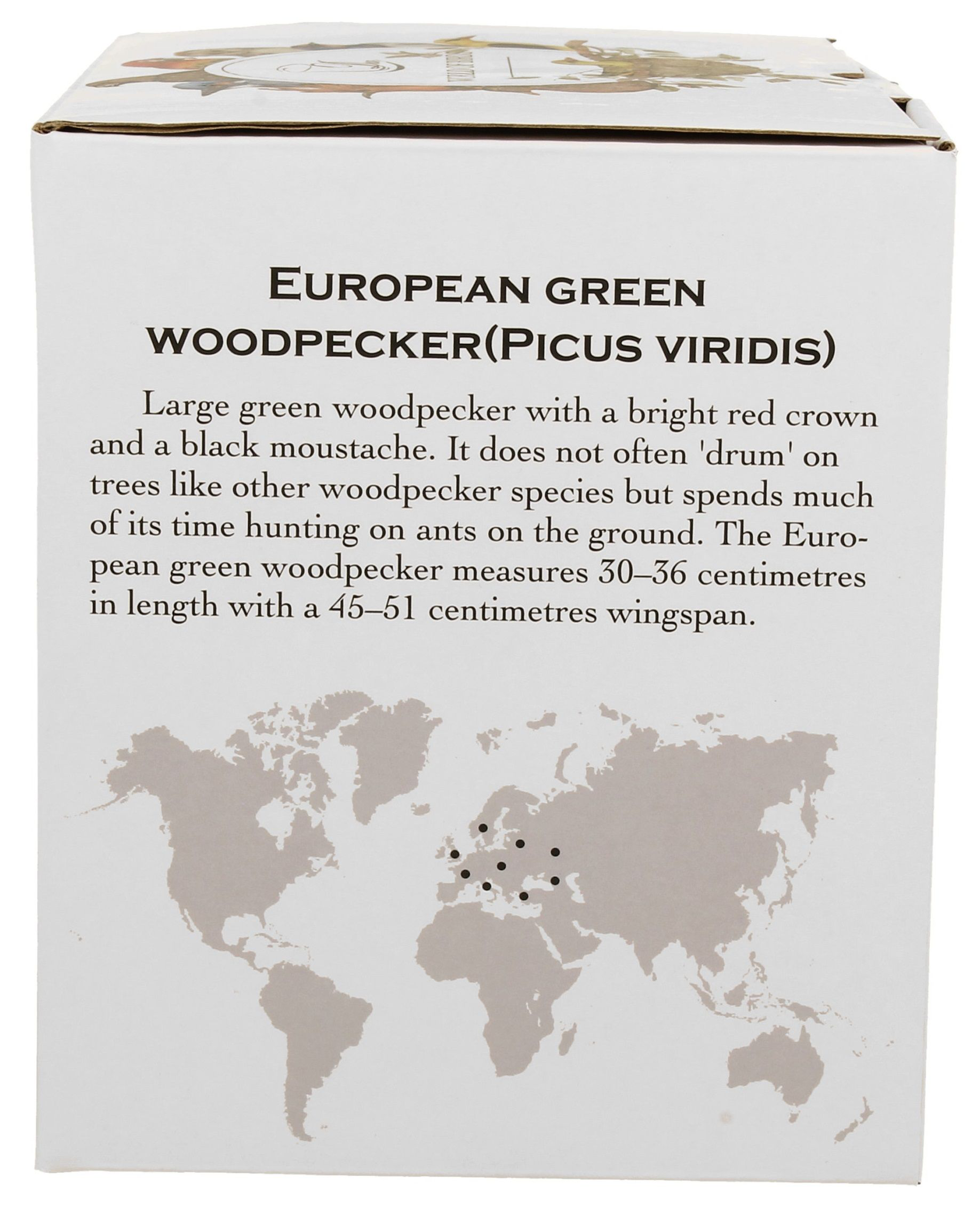 Zdjęcie pudełka z opisem dzięcioła zielonego (Picus viridis) oraz mapą występowania.
