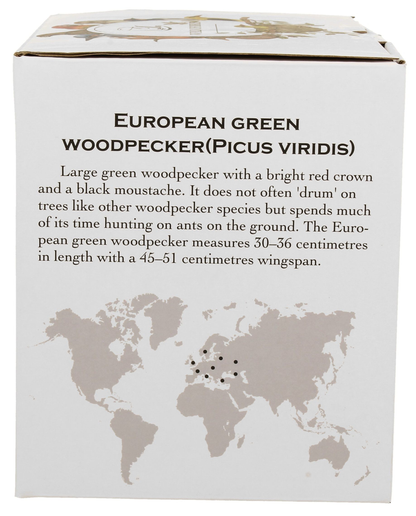 Zdjęcie pudełka z opisem dzięcioła zielonego (Picus viridis) oraz mapą występowania.