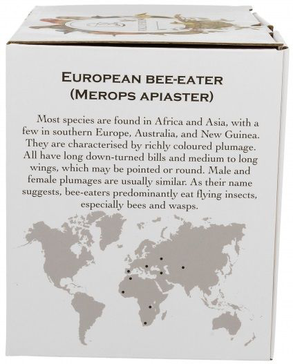Bok pudełka z opisem European bee-eater – kolekcja World of Birds.