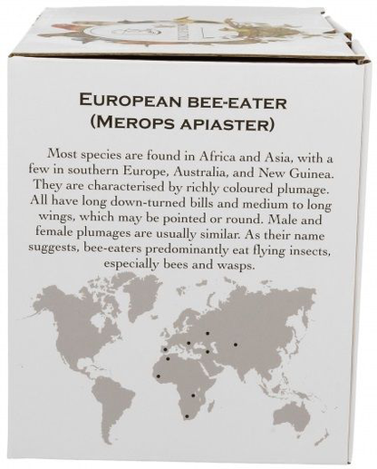 Bok pudełka z opisem European bee-eater – kolekcja World of Birds.