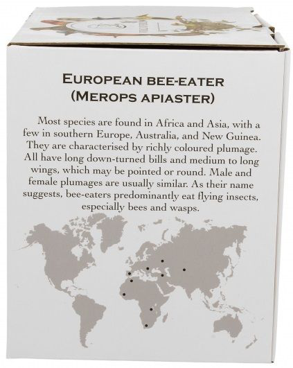 Bok pudełka do kubka porcelanowego Sowy Zwyczajne 400 ml z opisem gatunku ptaka.