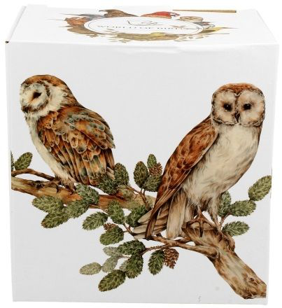 Ozdobne pudełko z ilustracją sów – kubek porcelanowy Sowy Zwyczajne 400 ml.