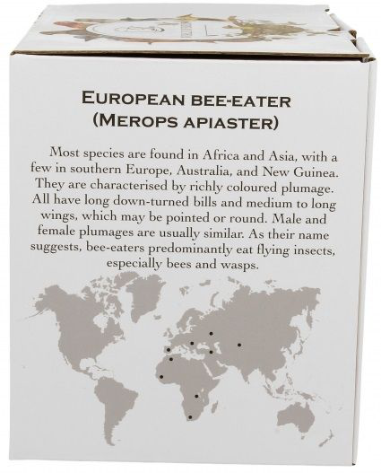 Bok pudełka z opisem wilgi zwyczajnej (Oriolus oriolus) i mapą występowania.