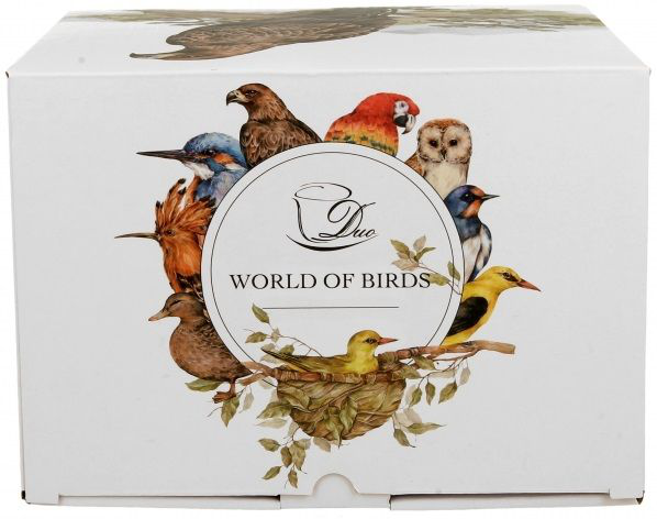 Front pudełka z logotypem World of Birds otoczonym ilustracjami kolorowych ptaków.