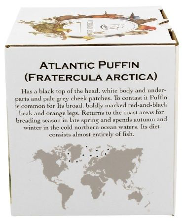 Bok pudełka z opisem maskonura (Atlantic Puffin), mapą jego występowania oraz charakterystyką wyglądu.