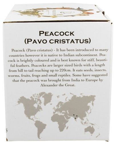 Bok pudełka z opisem gatunku paw (Peacock, Pavo cristatus) i mapką występowania.
