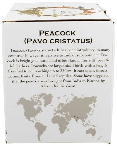 Opis na opakowaniu kubka przedstawiający informacje o pawiu (Pavo cristatus).
