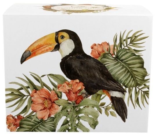 Pudełko z tropikalnym motywem tukana wśród liści i kwiatów.