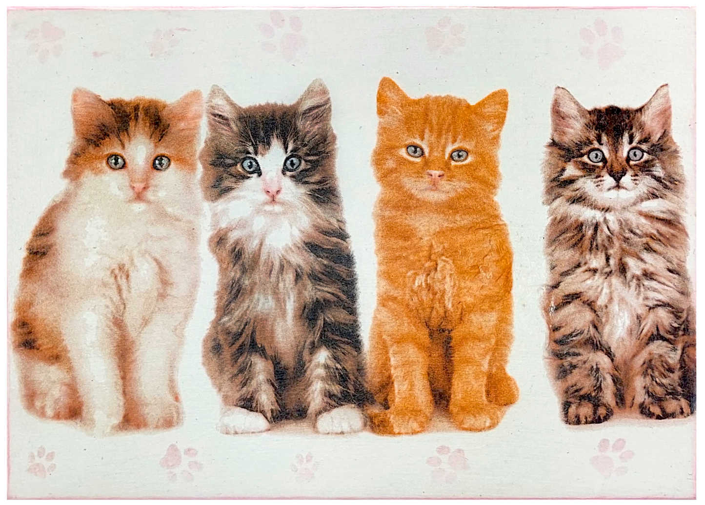 Zbliżenie na wieczko pudełka Basilur z wizerunkiem kotów.