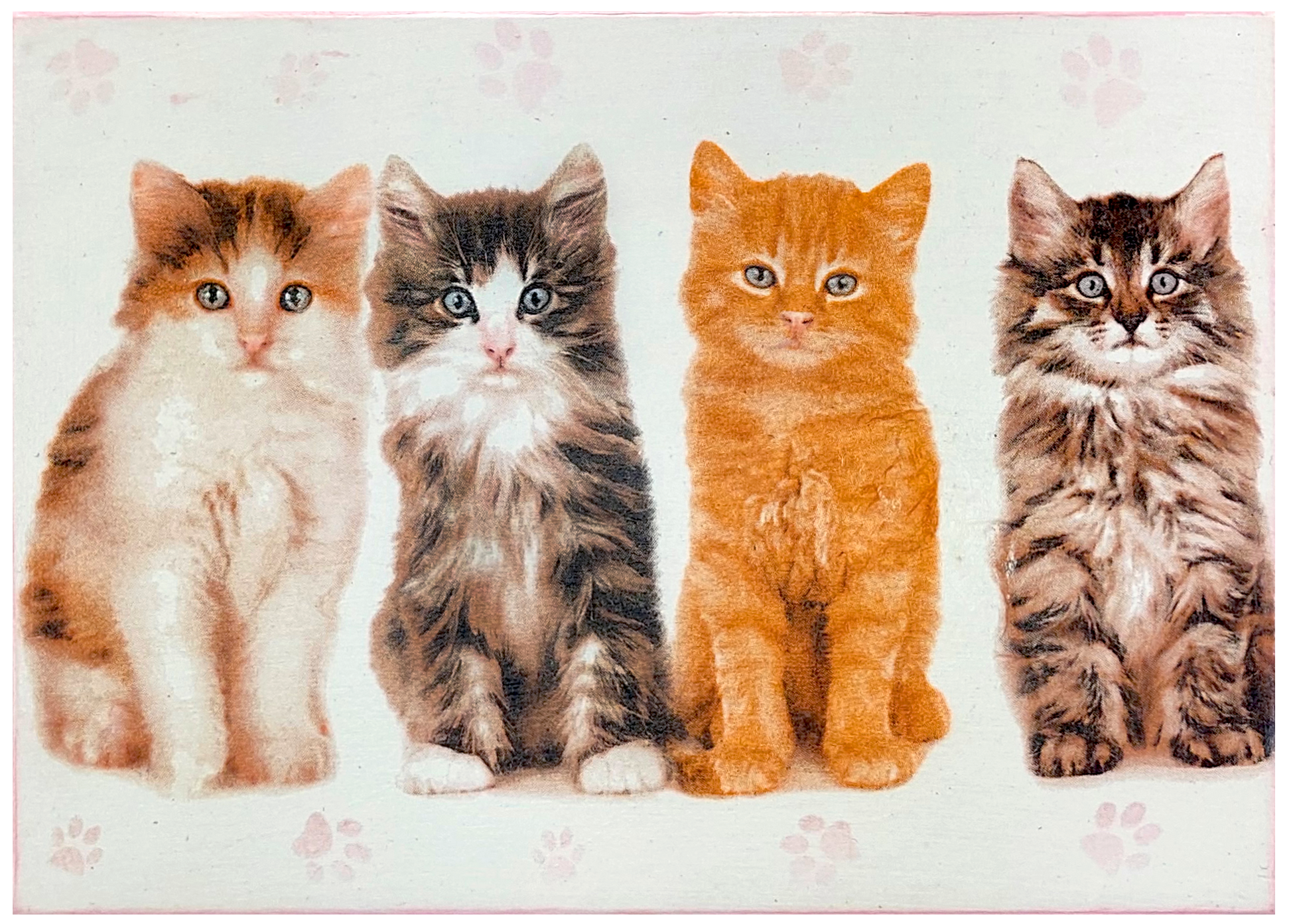 Zbliżenie na wieczko pudełka Basilur z wizerunkiem kotów.