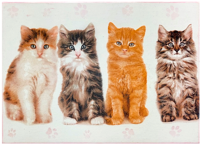 Zbliżenie na wieczko pudełka Basilur z wizerunkiem kotów.