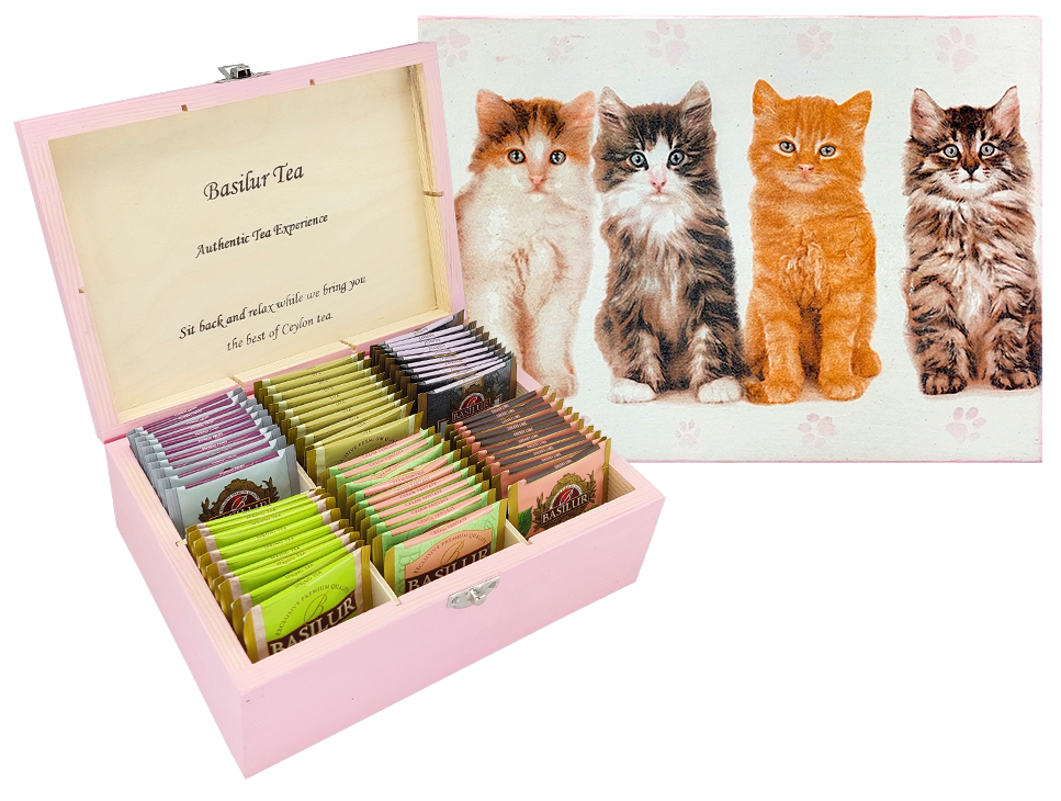 Różowa szkatułka Basilur z nadrukiem czterech kotów na wieczku.