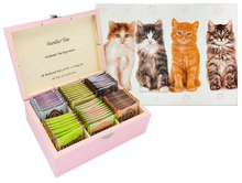 Różowa szkatułka Basilur z nadrukiem czterech kotów na wieczku.