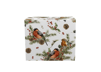 Dekoracyjne opakowanie – eleganckie pudełko z motywem zimowych ptaków i świątecznych gałązek.