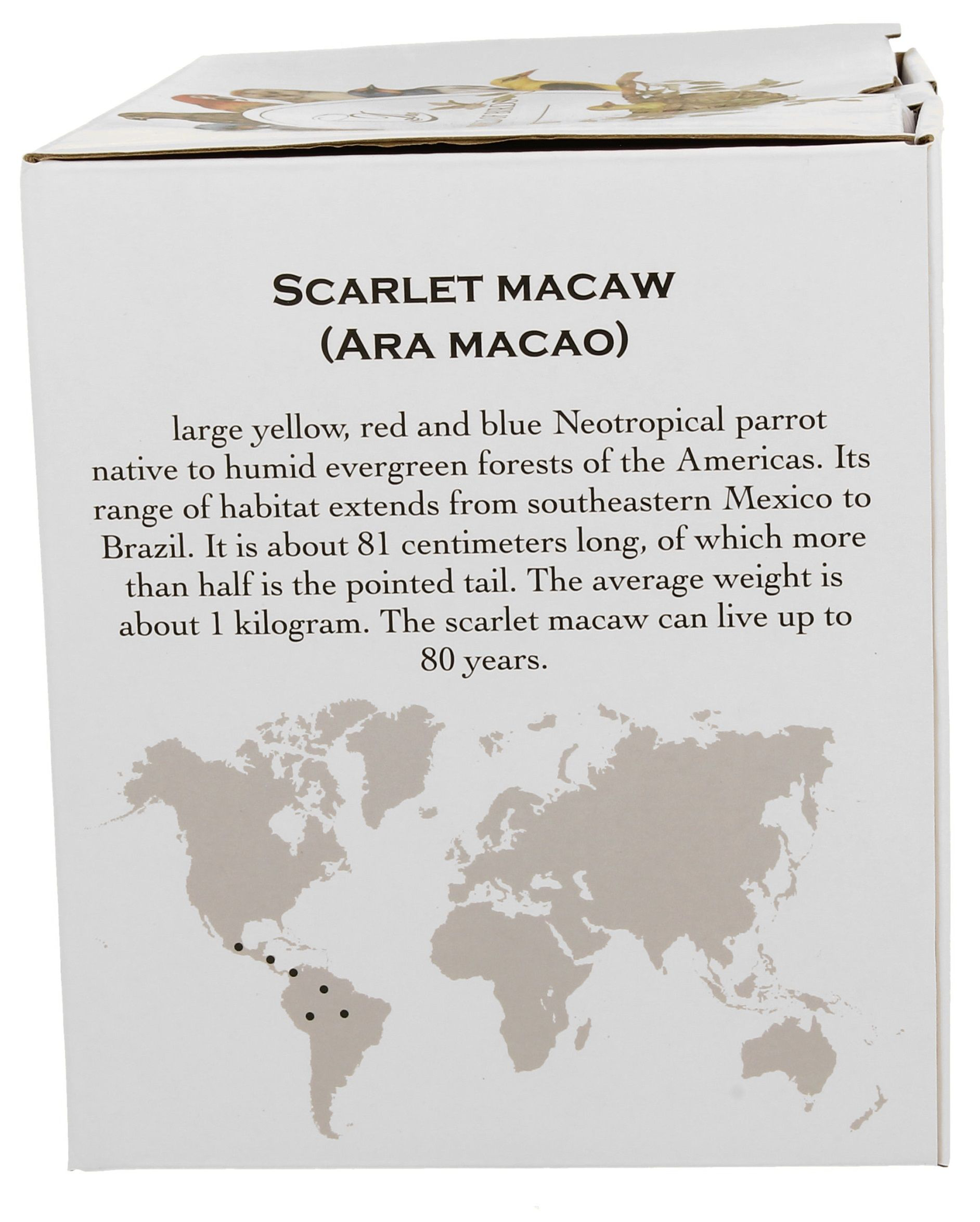 Informacja o kolekcji Scarlet Macaw na opakowaniu kubka