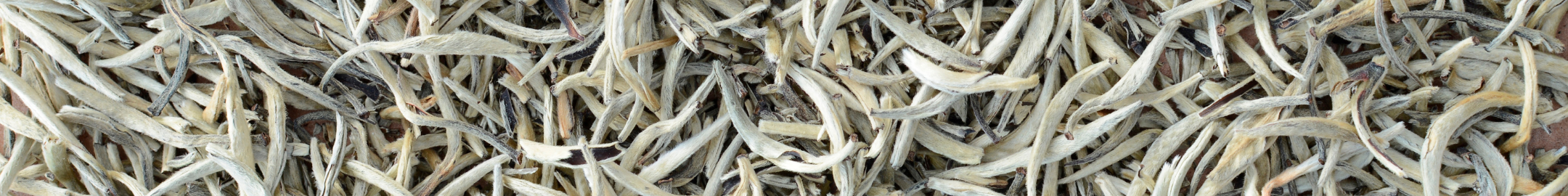 Suszone listki białej herbaty w dużym zbliżeniu – naturalne tło o jasnych i kremowych odcieniach.